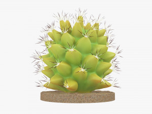 Actus plant in pot Modelo 3D