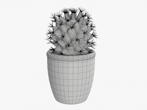 Actus plant in pot Modelo 3D