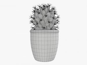 Actus plant in pot Modelo 3D