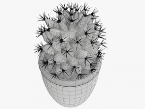Actus plant in pot Modelo 3D
