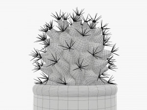 Actus plant in pot Modelo 3D