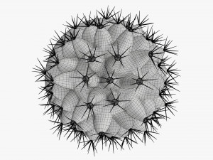 Actus plant in pot Modelo 3D