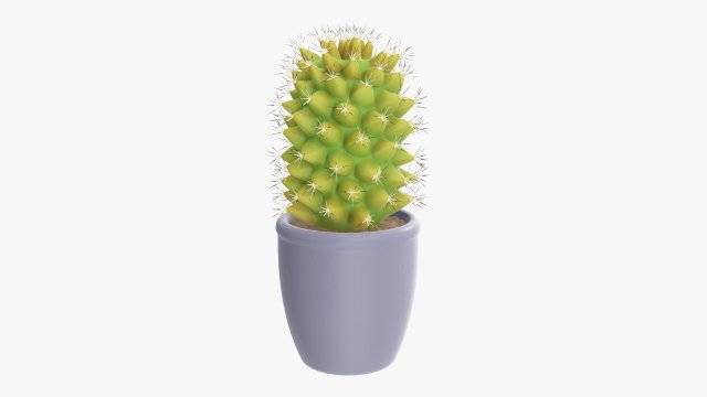 Cactus plant in pot tall Model 3D .c4d .max .obj .3ds .fbx .stl .blend 