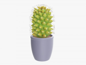 Cactus plant in pot tall Modelo 3D