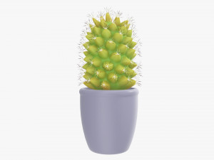 Cactus plant in pot tall Model 3D