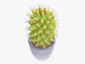 Cactus plant in pot tall Model 3D