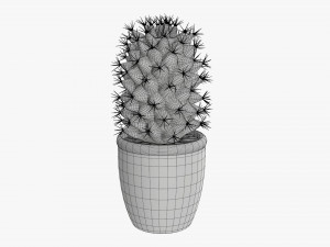 Cactus plant in pot tall Model 3D