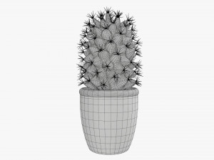 Cactus plant in pot tall Model 3D