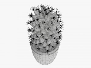Cactus plant in pot tall Model 3D