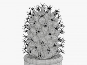 Cactus plant in pot tall Model 3D