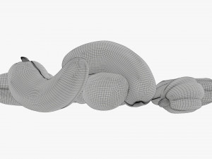Cashew nuts Modelo 3D