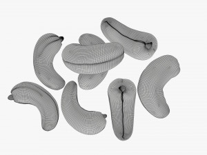 Cashew nuts Modelo 3D