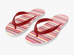 Chinelos cal&ccedil;ado mulher ver&atilde;o praia 02 Modelo 3D