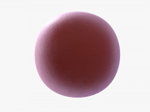 Gym weight kettlebell Modèle 3D