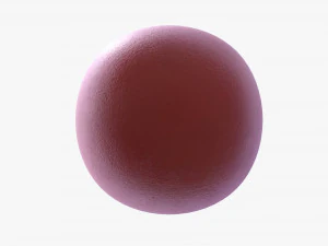 Gym weight kettlebell 3D Model