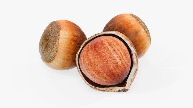 Hazelnuts 01 3D Model .c4d .max .obj .3ds .fbx .stl .blend 
