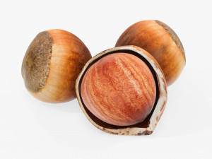 Hazelnuts 01 3D Model