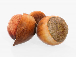 Hazelnuts 01 3D Model