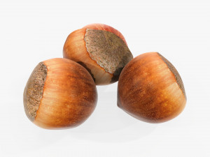 Hazelnuts 01 3D Model