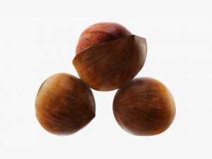 Hazelnuts 01 3D Model