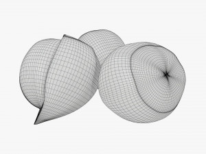Hazelnuts 01 3D Model