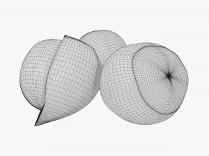 Orzechy laskowe 01 Model 3D