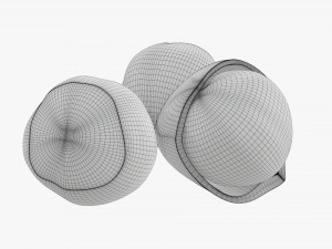 Hazelnuts 01 3D Model