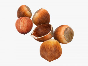Hazelnuts 03 3D Model