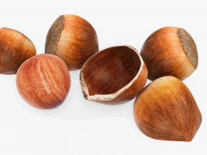 Hazelnuts 03 Modèle 3D
