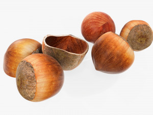 Hazelnuts 03 Modèle 3D