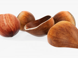 Hazelnuts 03 Modèle 3D