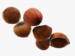 Hazelnuts 03 Modèle 3D