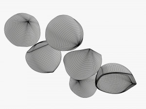 Hazelnuts 03 Modèle 3D