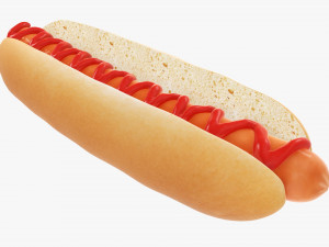 Hot dog with ketchup 3D Model