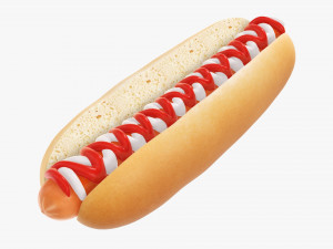 Hot dog with ketchup mayonnaise Modelo 3D