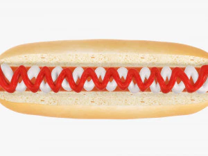 Hot dog with ketchup mayonnaise 3D Model
