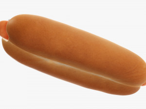 Hot dog with ketchup mayonnaise 3D Model