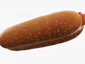 Hot dog with ketchup mayonnaise seeds 3D Model