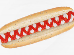 Hot dog with ketchup mayonnaise seeds Modelo 3D