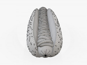 Hot dog with ketchup mayonnaise seeds Modelo 3D