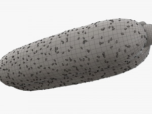 Hot dog with ketchup mayonnaise seeds Modelo 3D