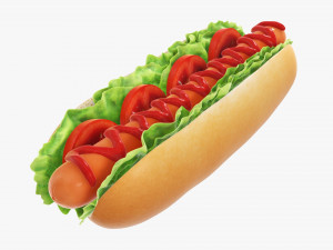 Hot dog with ketchup salad tomato 3D Model