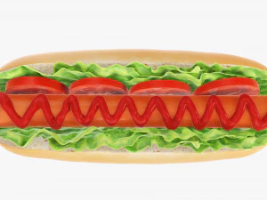 Hot dog with ketchup salad tomato 3D Model