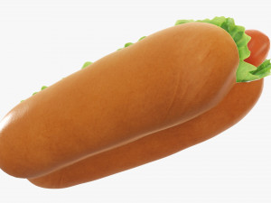 Hot dog with ketchup salad tomato 3Dモデル