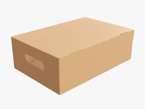 Картонная коробка для обуви закрытая 3D Модель
