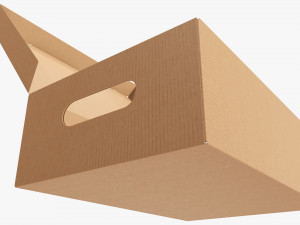 Shoes cardboard box open 3D Model