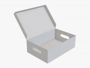 Shoes cardboard box open 3D Model