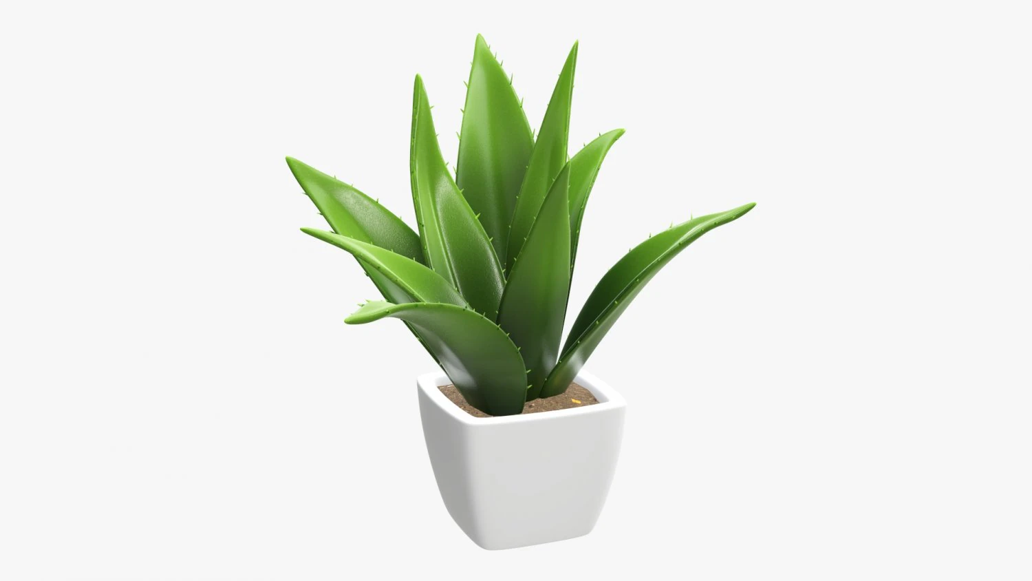 Artificial cactus composition 01 3D Model .c4d .max .obj .3ds .fbx .stl .blend 