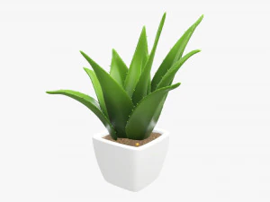 Artificial cactus composition 01 3D Model