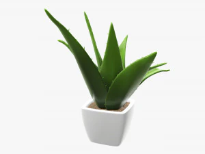 Artificial cactus composition 01 3D Model